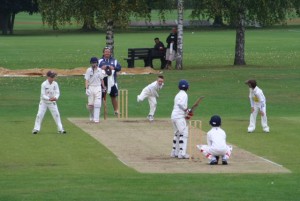 cricket_outdoors