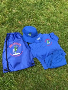 kids cricket surrey kit